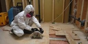 911 Restoration Mold Removal Greensboro